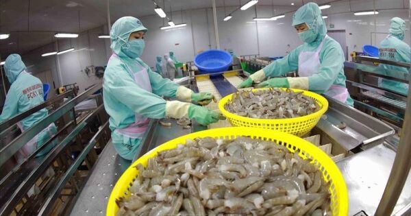 Đề xuất miễn kê khai, khấu trừ thuế VAT với nông, lâm, thuỷ sản sơ chế thông thường