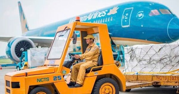 Dịch vụ Hàng hoá Nội Bài sắp chi cổ tức tiền mặt 8.000 đồng/cp