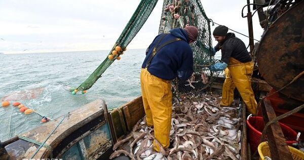 EU đạt thỏa thuận quan trọng bảo đảm sự ổn định cho hoạt động khai thác hải sản