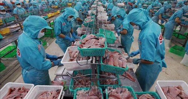 Brazil tuyên bố khởi động đàm phán PTA Mercosur với Việt Nam