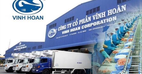 Doanh thu cá tra của Vĩnh Hoàn sụt 10% trước mùa cao điểm cuối năm