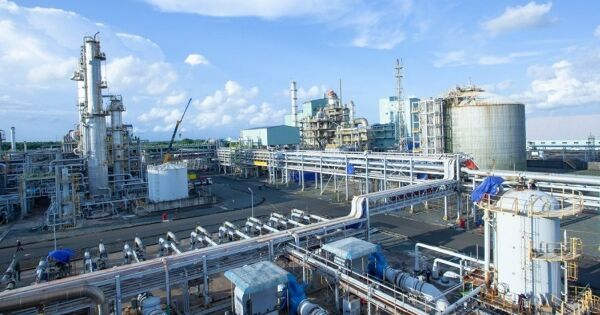 Lợi nhuận Đạm Cà Mau ước tính tăng 45% trong năm 2025