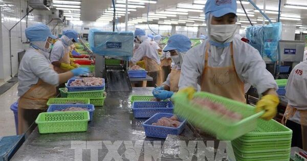 Cú hích tăng trưởng của ngành thủy sản Việt Nam tại Singapore