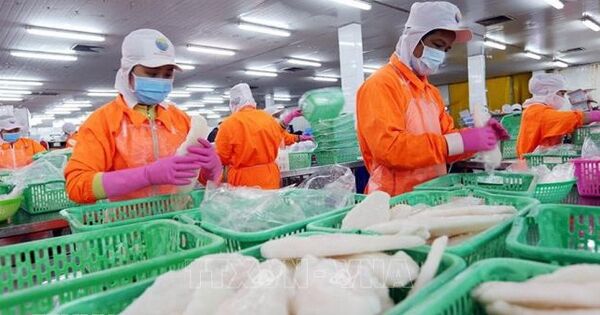 11 tháng, xuất khẩu nông lâm thủy sản đạt trên 64 tỷ USD, vượt kỷ lục năm 2024