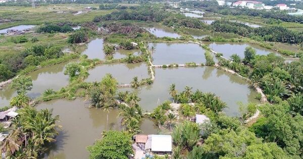 Quốc Cường Gia Lai muốn bán công ty con để trả nợ liên quan bà Trương Mỹ Lan