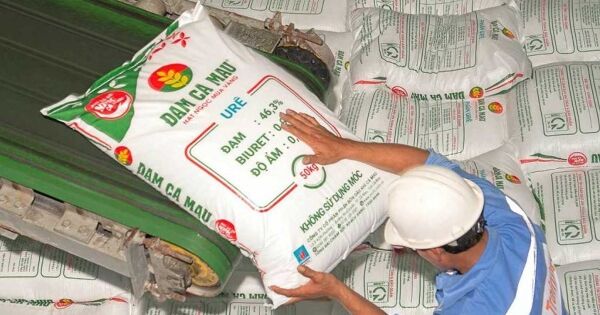 Đạm Cà Mau muốn nâng 87% chỉ tiêu lợi nhuận 2025