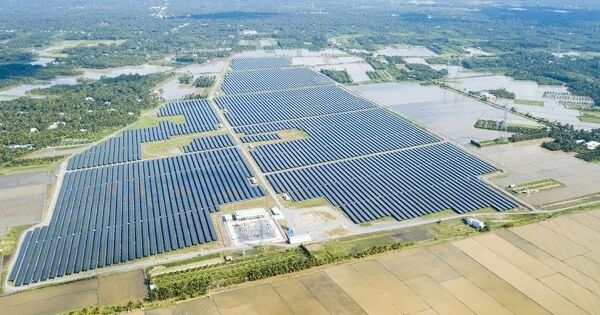 Bamboo Capital dự kiến chịu lỗ đến hết 2027