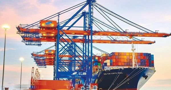 Cán bộ nhân viên của Gemadept được mua 6,2 triệu cổ phiếu với giá rẻ bằng 1/6 thị giá