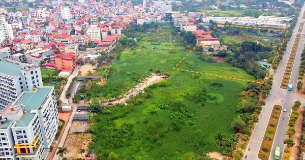 Hà Nội giao đất cho Viglacera và Handico làm NOXH ở Đông Anh