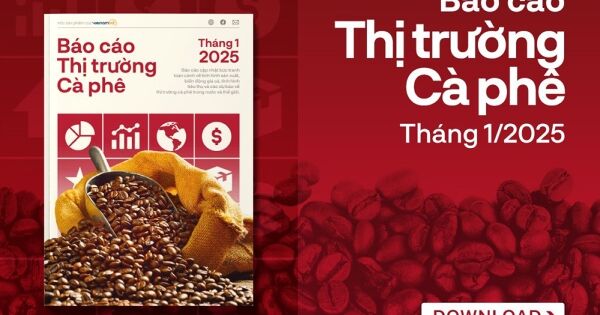 [Báo cáo] Thị trường cà phê tháng 1/2025: Giá cà phê tăng mạnh vì nỗi lo thiếu hụt nguồn cung