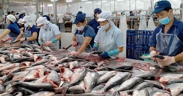 Tâm điểm thuỷ sản 2025: Nguồn cung thiếu hụt và cuộc chiến thuế quan