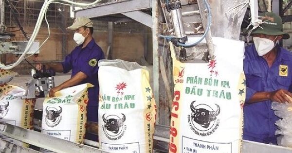 Sau năm kỷ lục, hãng phân bón đầu trâu giảm phân nửa mục tiêu lợi nhuận