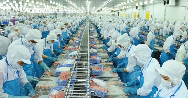 Vĩnh Hoàn giảm gần một nửa xuất khẩu sang Trung Quốc