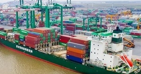 Lợi nhuận Viconship bị 'thổi phồng' trăm tỷ vì nhập sai dữ liệu