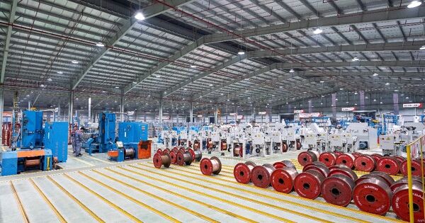 Gelex đặt mục tiêu doanh thu kỷ lục gần 38.000 tỷ đồng năm 2025, cổ tức 10%