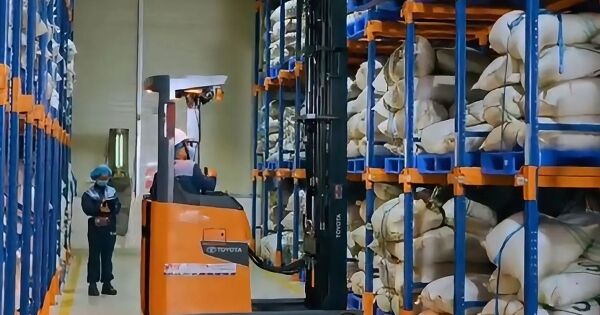 ​​Ngành hồ tiêu Việt Nam linh hoạt tìm đường giữa sóng gió thuế quan