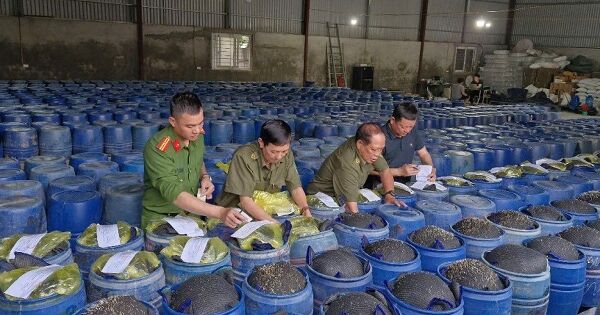 Bắt 4 chủ cơ sở sản xuất 3.500 tấn giá đỗ ngâm hoá chất tại Nghệ An