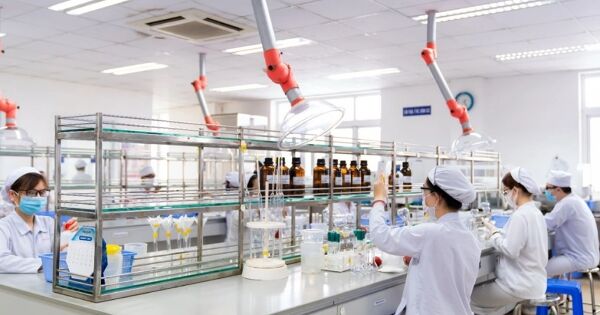Dược Hậu Giang lãi cao nhất 2 năm, nắm hơn 2.800 tỷ đồng tiền mặt