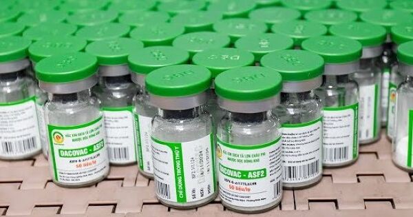 Dabaco muốn xuất khẩu vắc xin dịch tả heo Châu Phi sang Trung Quốc