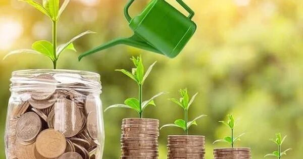 Cổ phiếu cổ tức cao – ‘bến đỗ’ an toàn trước sóng gió thị trường