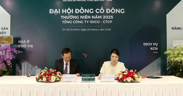 ĐHĐCĐ IDICO: Đang đầu tư mới 4 KCN rộng 1.350 ha, sẽ chia cổ tức tiền mặt năm nay nếu bán hàng tốt