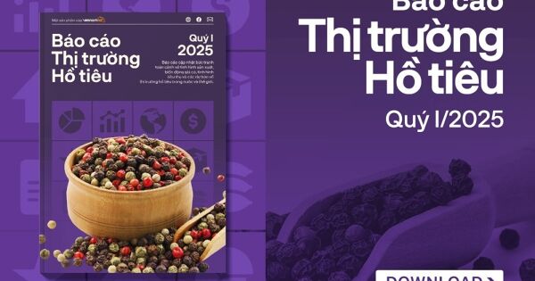 [Báo cáo] Thị trường hồ tiêu quý I/2025: Giá vẫn duy trì ở mức cao dù đối mặt với rủi ro thuế quan
