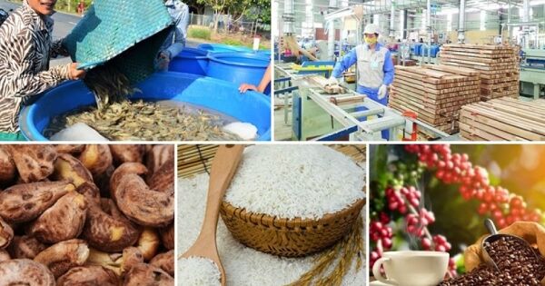 Loạt công ty niêm yết xuất khẩu chủ lực sang Mỹ