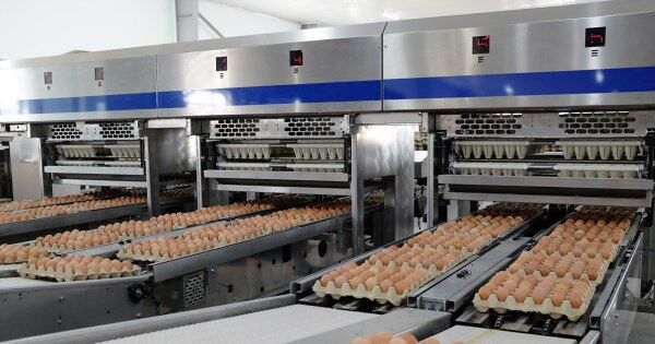 Nông nghiệp – nốt son của nhiều DN khác ngành trong mùa ĐHĐCĐ 2025