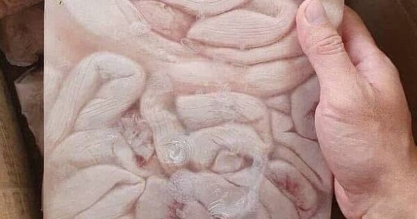 Nội tạng heo, bò bán tràn lan trên mạng giá siêu rẻ