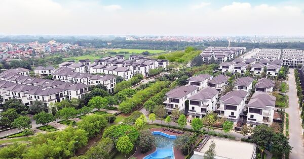 Không có doanh thu bất động sản, lãi ròng Hà Đô giảm 30%