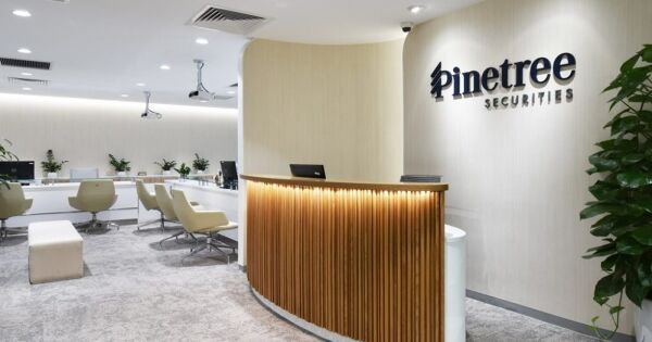 Hệ thống Pinetree gặp sự cố, nhà đầu tư không thể mua bán
