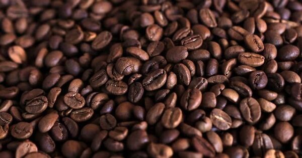 Ngành cà phê Mỹ đứng trước sức ép tăng giá bán vì thuế đối ứng