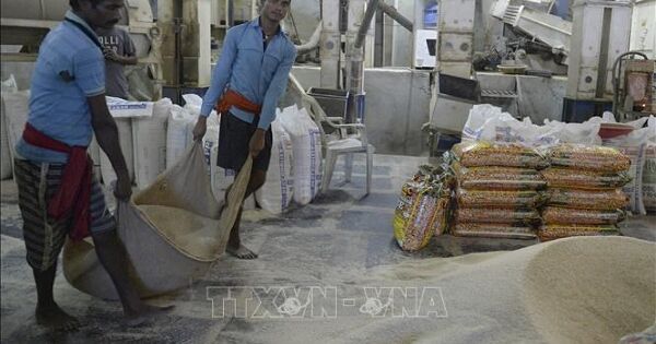 Ấn Độ nỗ lực xuất khẩu gạo