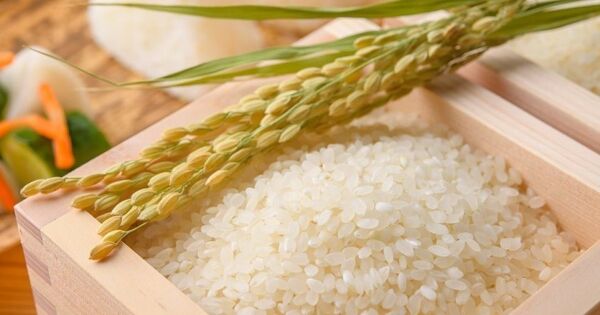 Nhật Bản lo mất thị phần gạo vào hàng nhập khẩu vì giá nội địa tăng sốc