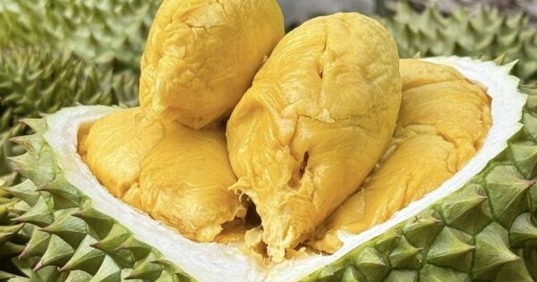 Campuchia xuất khẩu sầu riêng sang Trung Quốc: Sức ép mới với Việt Nam?