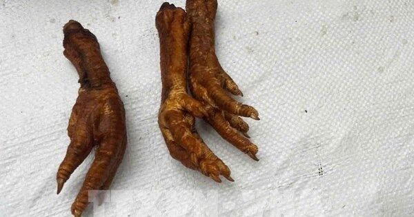Hà Nội: Bắt giữ 1,4 tấn chân gà thành phẩm không rõ nguồn gốc xuất xứ