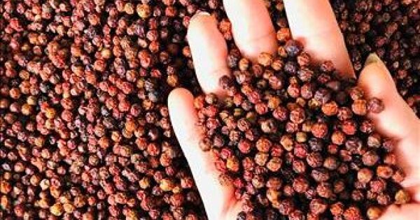 Xuất khẩu hồ tiêu tăng 58% về giá trị