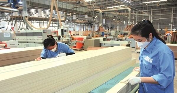Doanh nghiệp gỗ Việt Nam xoay xở trước 'vòng kim cô' thuế của Mỹ