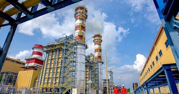 NT2 tính chi hơn 200 tỷ đồng trả cổ tức, dù cả năm chỉ lãi 83 tỷ