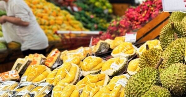 Xuất khẩu sầu riêng sang Trung Quốc giảm sâu, Bộ Nông nghiệp và Môi trường họp khẩn bàn giải pháp
