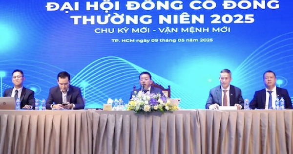 ĐHĐCĐ Đất Xanh: ‘Sáp nhập tỉnh, thành là cơ hội sớm hoàn thiện pháp lý dự án’