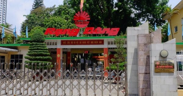 Phải tăng chiết khấu vì thuế khoán, Bóng đèn Rạng Đông dự kiến mất 10% doanh thu