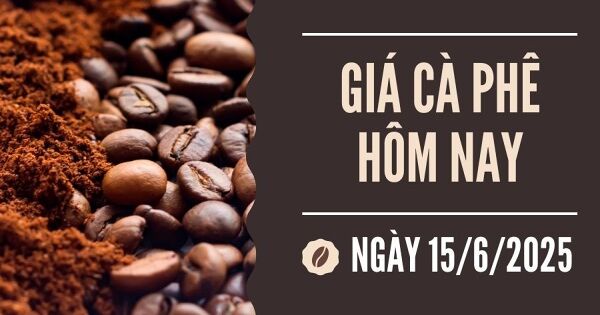 Giá cà phê hôm nay 15/6: Đà giảm đã chậm lại trong tuần qua