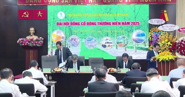 Tập đoàn Cao su: Ước lãi 2.500 tỷ đồng sau nửa năm, sẽ mở rộng hơn 70.000 ha cao su tại Lào và Campuchia
