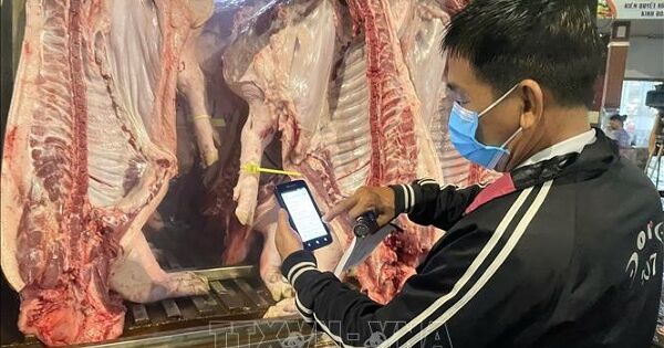 Kiểm soát chặt quy trình phân phối thịt lợn từ sản xuất tới thị trường