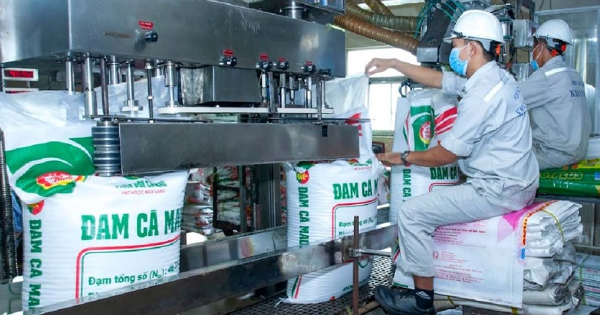 Đạm Cà Mau chốt chia cổ tức tiền mặt 20% ngay sau đại hội