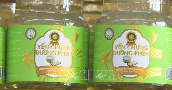 Thu giữ hơn 23.000 sản phẩm yến chưng giả