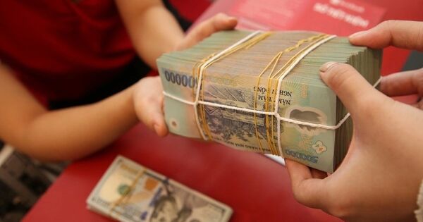 Một doanh nghiệp muốn dốc hầu bao chia cổ tức khủng 260%