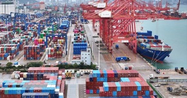 Giá cước vận tải biển Trung - Mỹ giảm hơn 50%