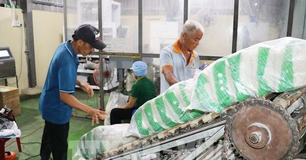 Giá gạo xuất khẩu đã giảm gần 19%